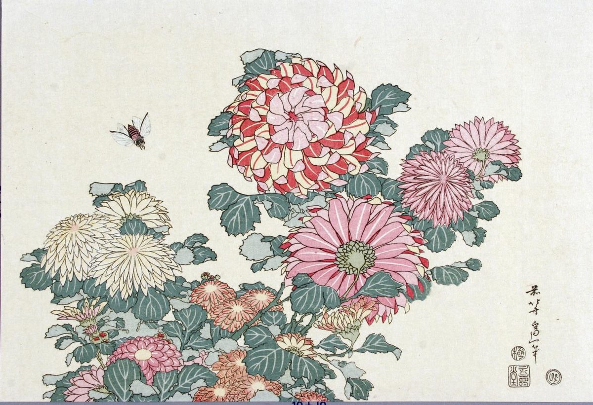 葛饰北斋的木版画:盛开的各色菊花和一只蜜蜂