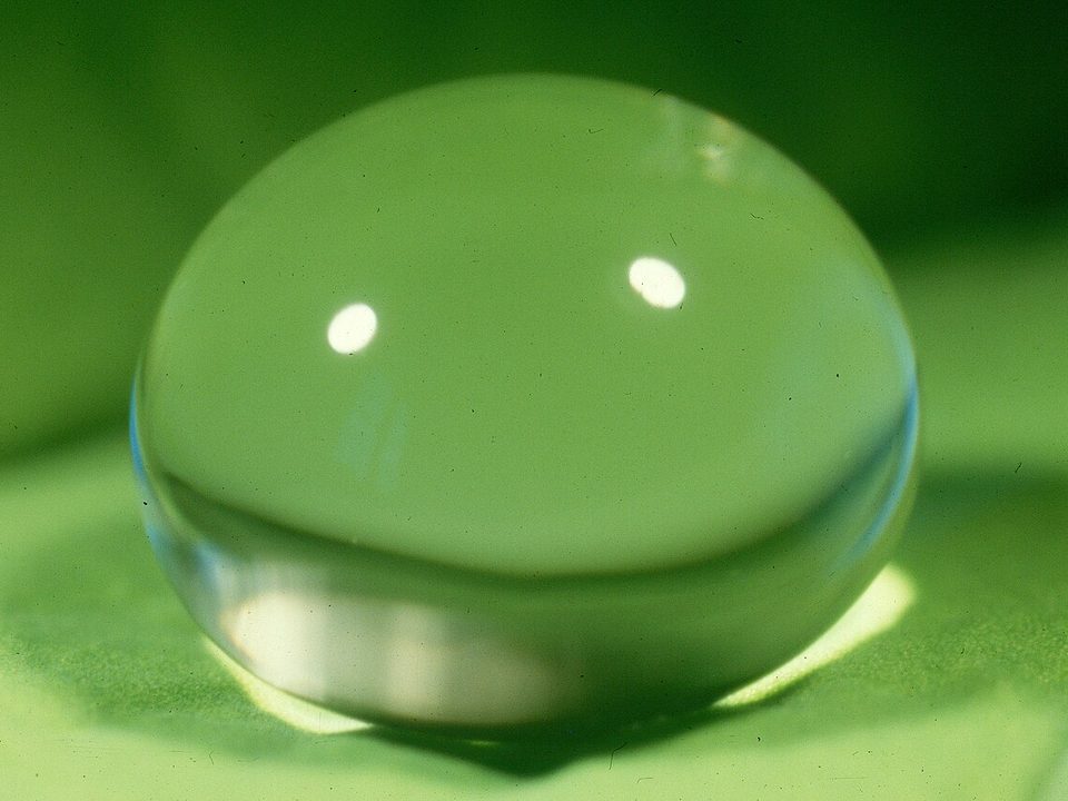 叶面上一颗近乎球形的水滴